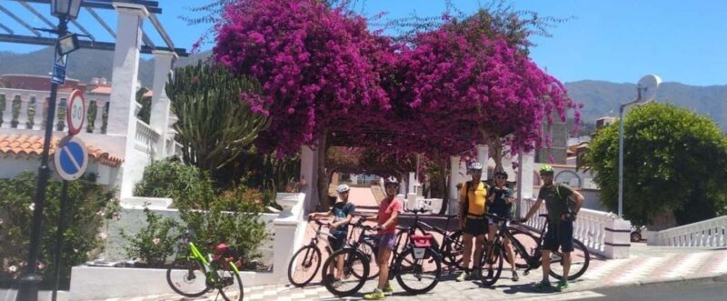 La Palma: Guided e-bike tour (trekking) - Who Will Enjoy This La Palma E-Bike Tour?