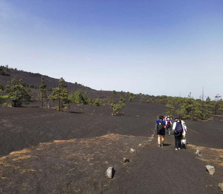 La Palma: Guided Tour to Tajogaite Volcano with Transfer - Discover La Palma’s Volcano: Guided Tour to Tajogaite with Transfers