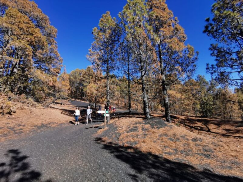 La Palma: Guided Tour to Tajogaite Volcano with Transfer - Viewpoints and Local Villages: Tajuya and Tacande