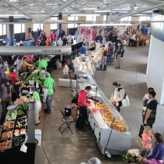 La Palma: Island Highlights Guided Bus Tour - Final Panoramas from Mirador de La Concepción