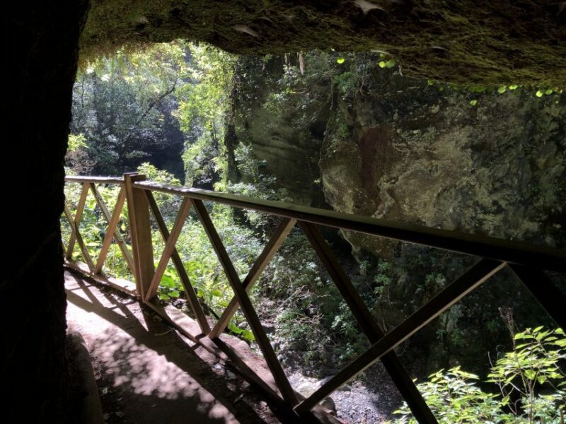 La Palma: North Island Bus Tour with Ron Aldea Distillery - Discovering the Ron Aldea Distillery’s Traditional Rum-Making