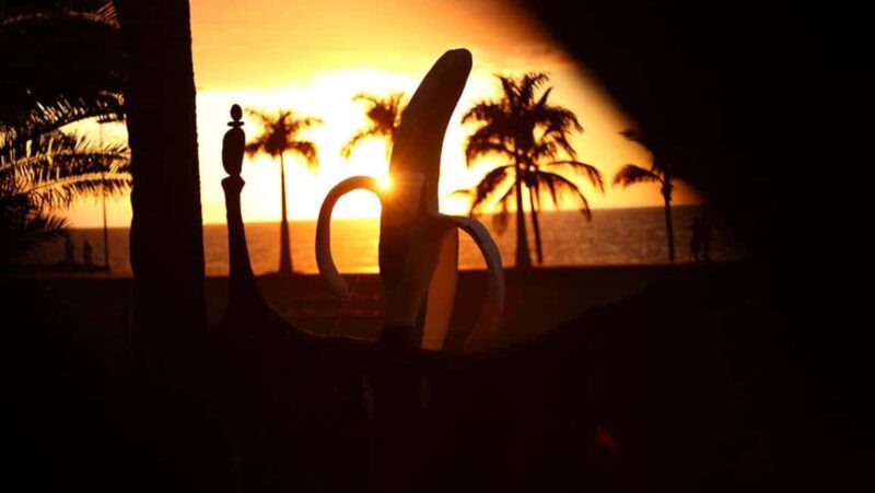 La Palma: PlatanoLógico Edible Forest Tour - Starting Point at Puerto Naos Beach in La Palma