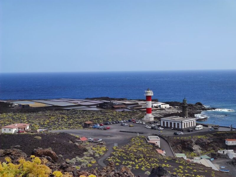 La Palma: San Antonio and Teneguia Volcanos Tour by 4x4 Bus - Key Points