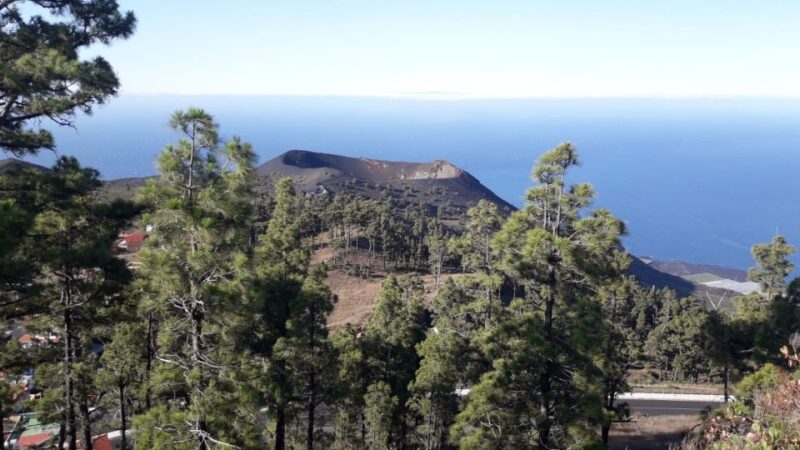 La Palma: San Antonio and Teneguia Volcanos Tour by 4x4 Bus - Navigating La Palma’s Volcanic South in a 4x4