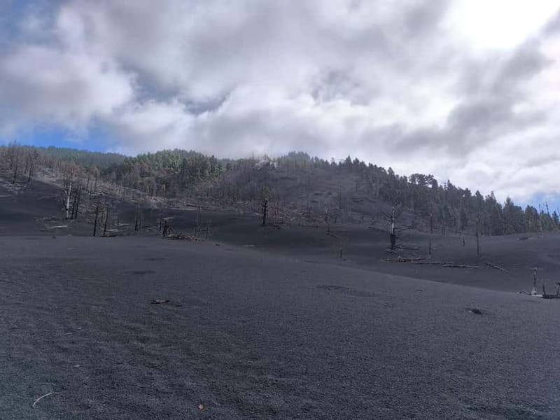 La Palma: Tajogaite Volcano Guided Hike ( ES-ED ) - The Unique Viewpoints and Natural Contrasts