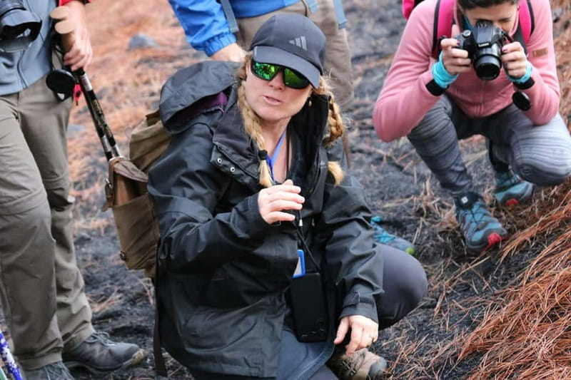 La Palma: Tajogaite Volcano Guided Hike ( ES-ED ) - Practical Details and What to Bring