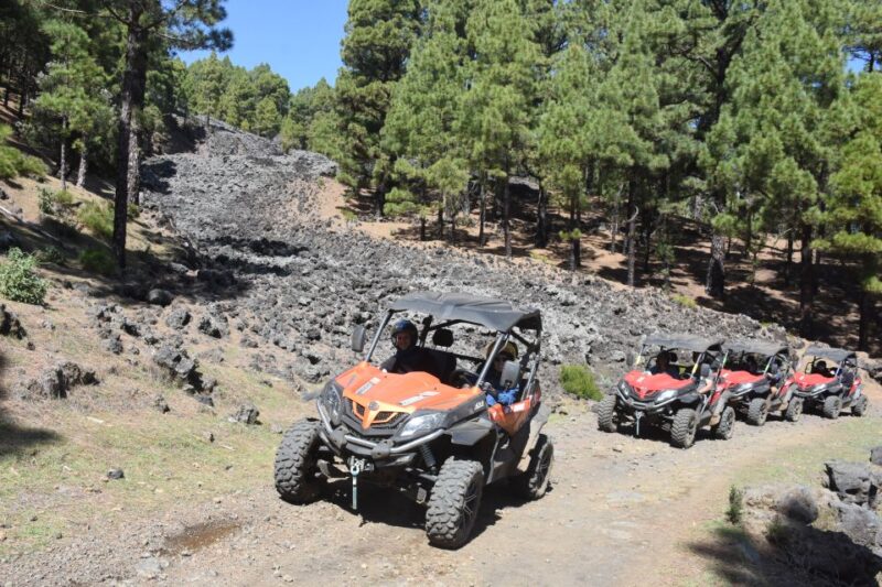 La Palma: Volcano Route Buggy Tour - Overall Value and Suitability
