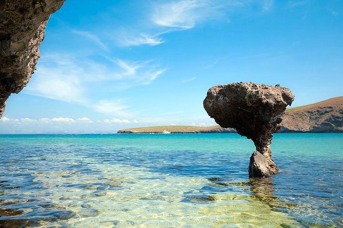 La Paz and Todos Santos City and Beaches Tour - Flexibility for Extended Exploration