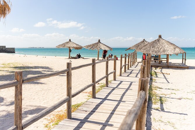 La Paz Beaches Half Day Tour - The Hidden History of Playa El Tesoro