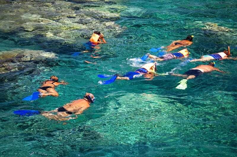 La Paz: Coral Farm Snorkel Tour - Physical Requirements and Accessibility