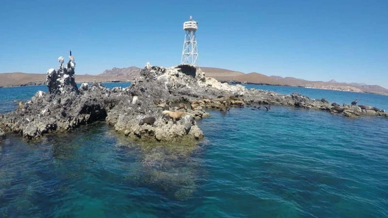 La Paz: Day Cruise & Snorkelling (w/sea lions) Food & Drinks - Scenic Water Mat Relaxation and Cove Exploration
