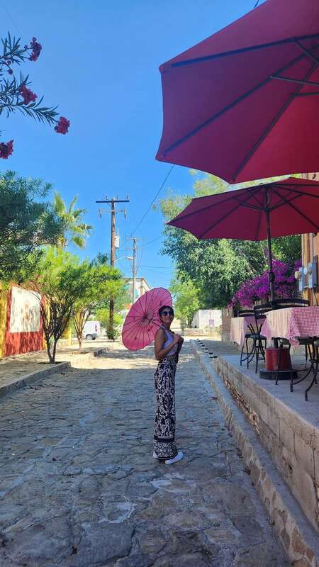La Paz: El Triunfo Town Tour with Lunch and Transportation - Regional Lunch with Endemic Ingredients and Sustainable Practices