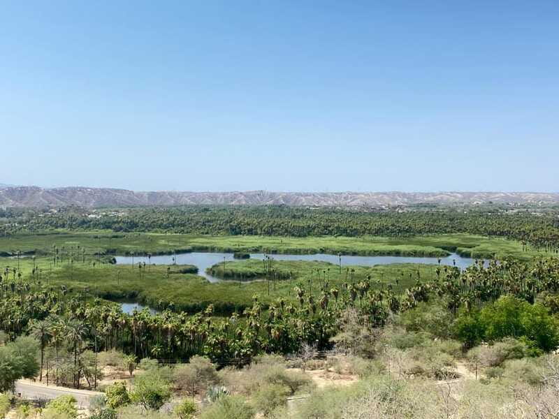LA PAZ ENCOUNTER - The Colorful Town of Todos Santos