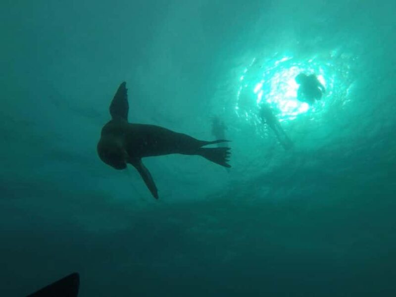 La Paz: Espíritu Santo Island Snorkeling Tour with Lunch - Comparing with Similar Tours