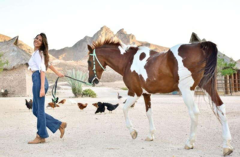 La Paz: Horseback Riding - Practical Details and Logistics