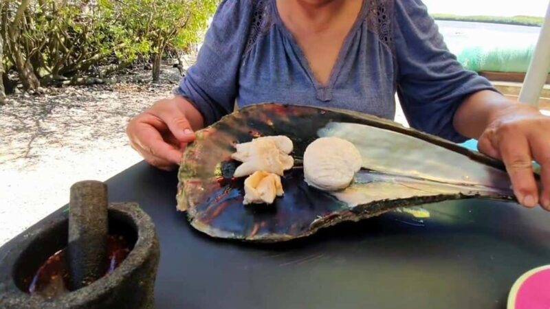 La Paz: Mangrove Adventure, Snorkeling and Shellfish Tasting - La Pazs Mangrove Ecosystem and Its Significance