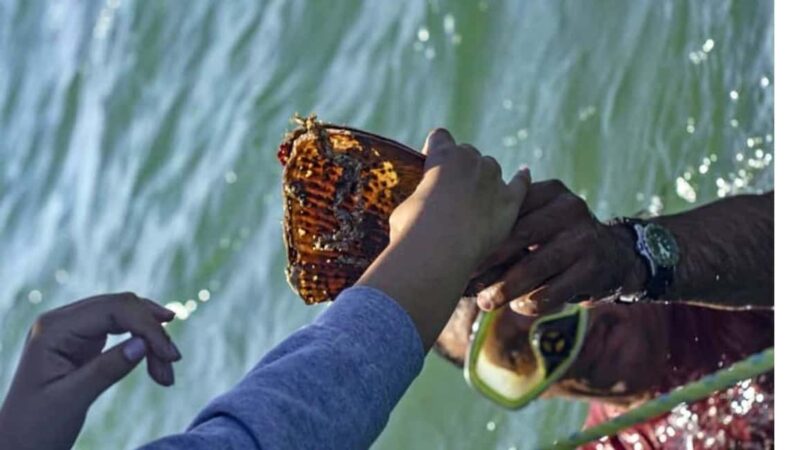 La Paz: Mangrove Adventure, Snorkeling and Shellfish Tasting - Comparing to Other La Paz Experiences