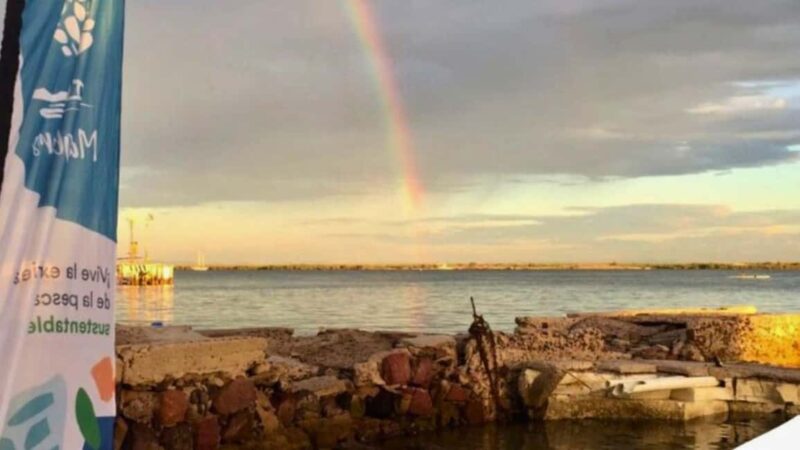 La Paz: Mangrove Adventure, Snorkeling and Shellfish Tasting - Frequently Asked Questions