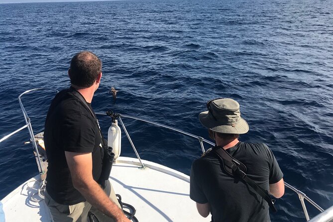 La Paz Mexico Sunset Cruise with Local Guides : small group - Marine Wildlife Encounters on the La Paz Bay