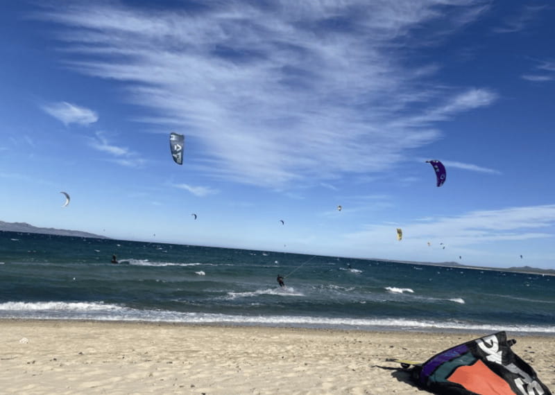 La Paz - Ocean Safari: find dolphins, orcas, and sea lions - Snorkeling Gear and Refreshments Included