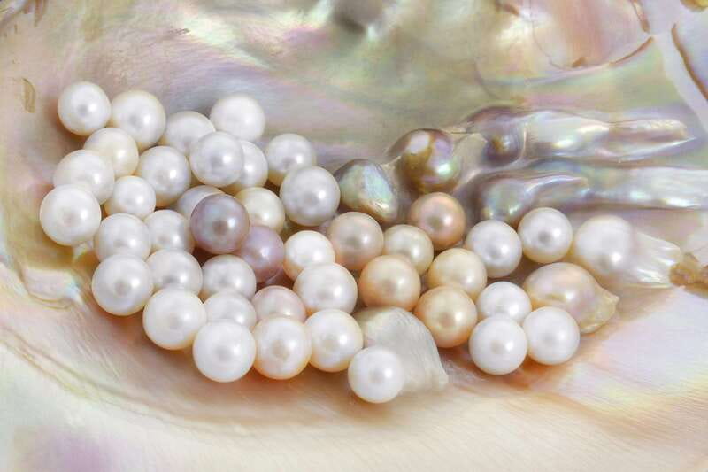 La Paz: Pearl Farm Experience and shop - Learning the Art and Science of Pearl Cultivation