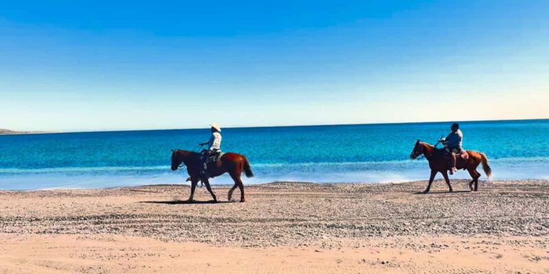La Paz: Scenic Beach Horseback Ride with Snacks - Safety and Rescheduling Policies