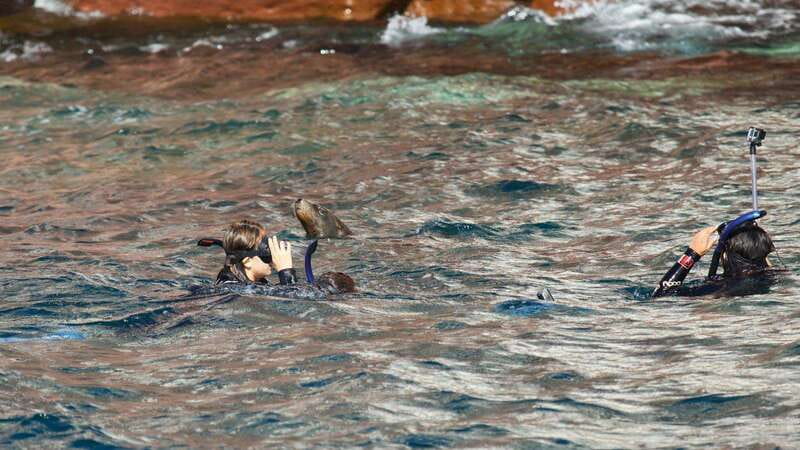 La Paz: Sea Lions & Mega-Paddleboard Tour in Espiritu Santo - Key Points