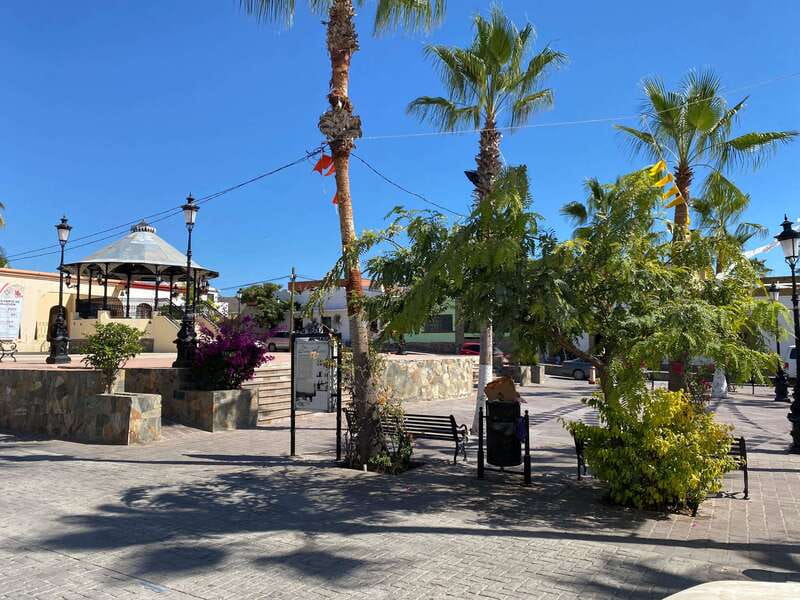 La Paz: Todos Santos Day Trip - Practical Tips and What to Bring