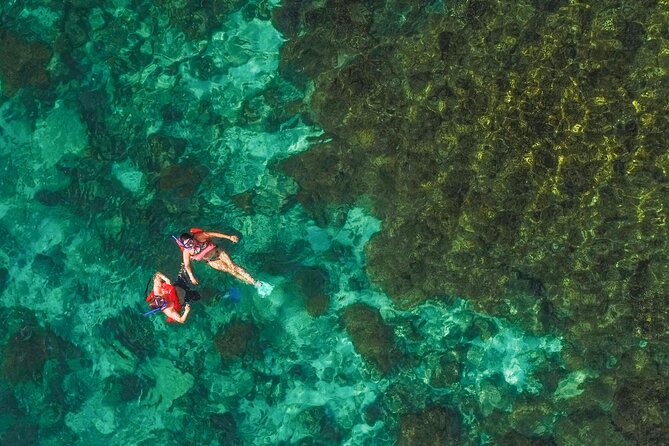 La Paz World class Snorkeling in Balandras Hidden Beaches - Visiting Balandra Beach: Natural Beauty and Marine Encounters