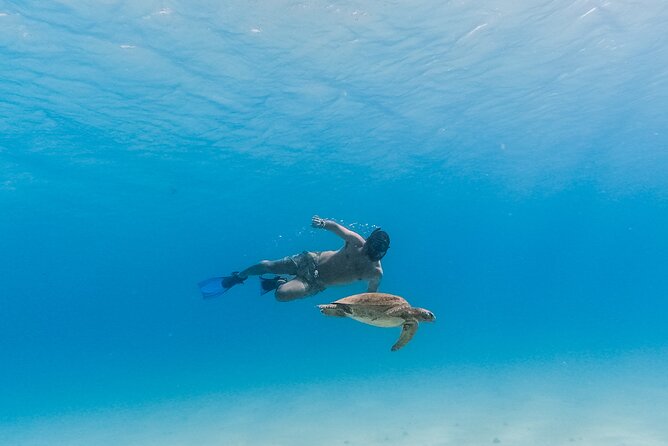 La Paz World class Snorkeling in Balandras Hidden Beaches - Food and Drinks: Mexican Flavors with a View