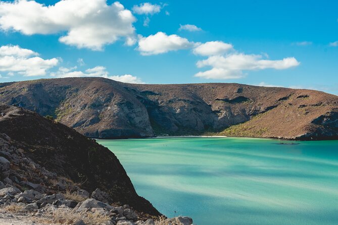 La Paz World class Snorkeling in Balandras Hidden Beaches - Snorkeling, Kayaking, and Wildlife Watching