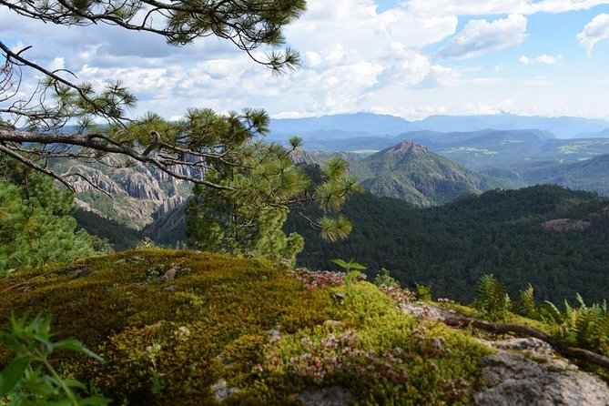 La Pirámide Park // WALK AND DISCOVER THE PARK - Cancellation Policy and Flexibility