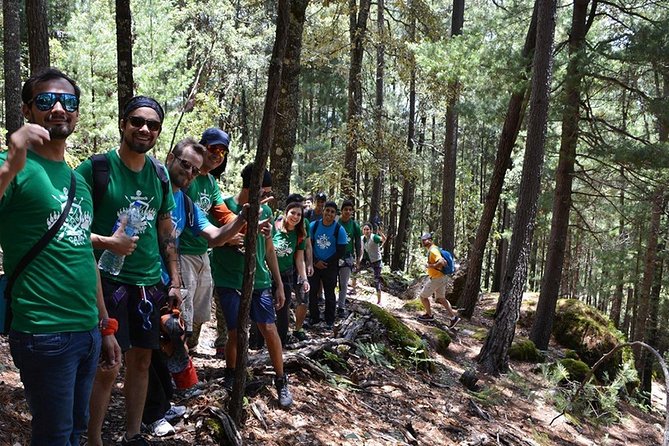 La Pirámide Park // WALK AND DISCOVER THE PARK - The Value of a Private Nature Walk at La Pirámide