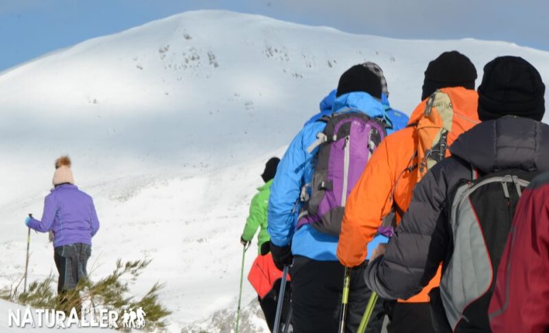 La Raya: Fuentes de Invierno Snowshoe Walk - Key Points