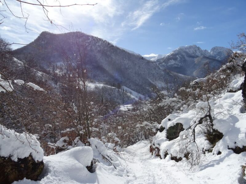 La Raya: Fuentes de Invierno Snowshoe Walk - Exploring Fuentes de Invierno’s Snowy Terrain