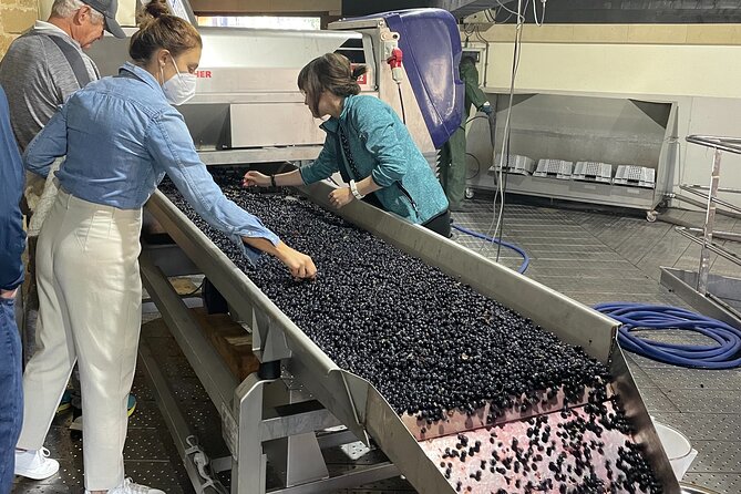 La Rioja Boutique Wine Tour & Charming Lunch (From Bilbao) - Guided Walk Through Laguardias Walled City