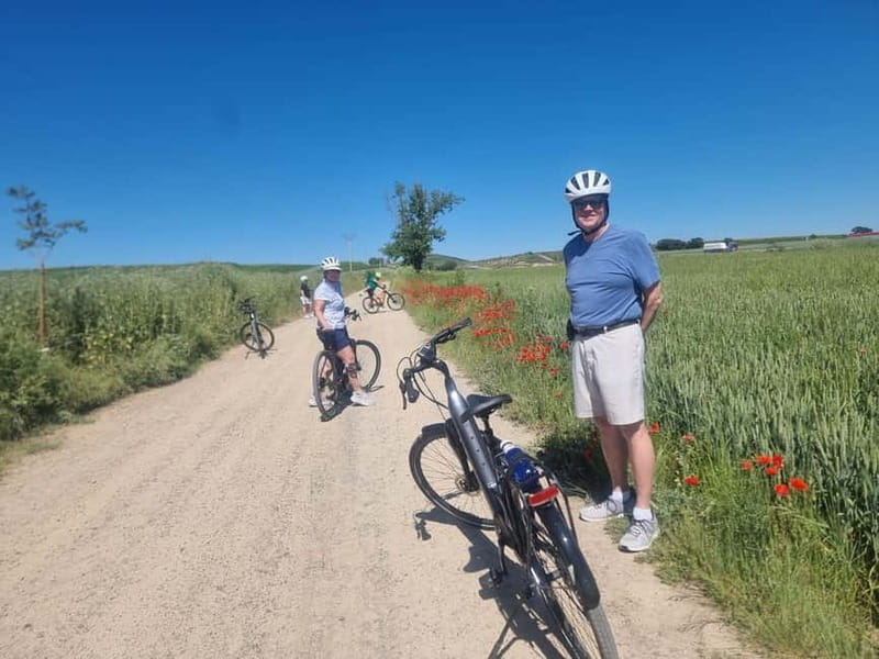 La Rioja: Guided Bike Tour - Discover La Rioja on a Guided Bike Tour with ShowMeSpain