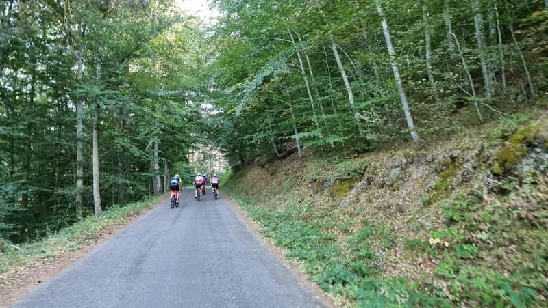 La Rioja: Guided Bike Tour - Practical Tips for a Smooth Bike Tour