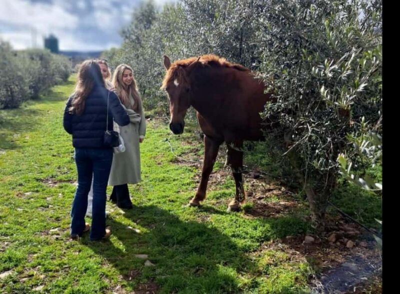 La Rioja: Organic Farm Tour & Spanish Ham Tasting with Wine - Guided Tasting of Organic Hams Paired with Rioja Wines