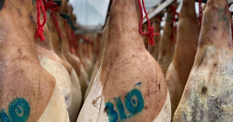 La Rioja: Organic Farm Tour & Spanish Ham Tasting with Wine - Practical Details and Considerations