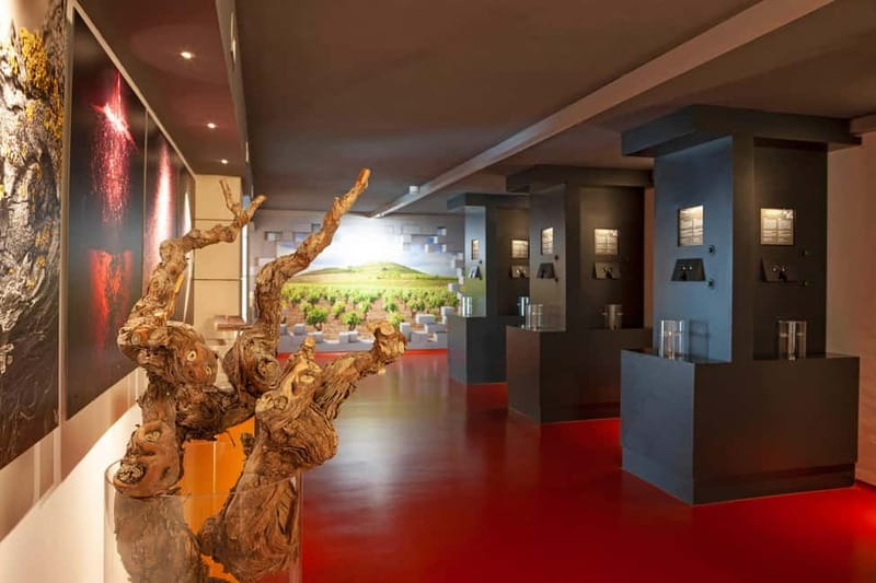 La Rioja: Sensory Experience With Wine Tasting - La Rioja: Sensory Experience With Wine Tasting — A Closer Look