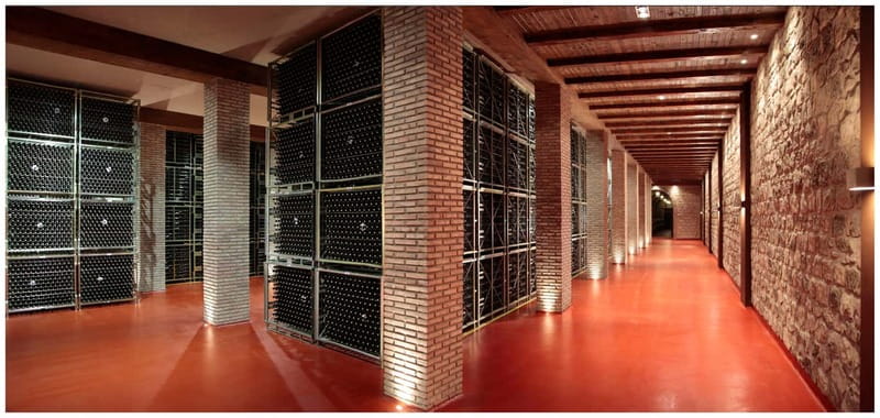 La Rioja: Sensory Experience With Wine Tasting - The Sensory Journey: Sight, Smell, and Taste