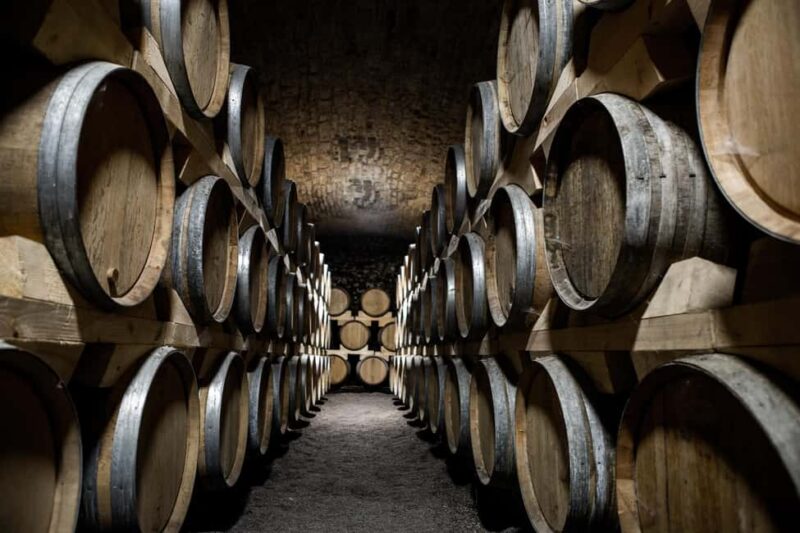 La Roche Vineuse: Visit the Vine and Wine Museum - Discover the Charm of Château de la Greffière in Bourgogne