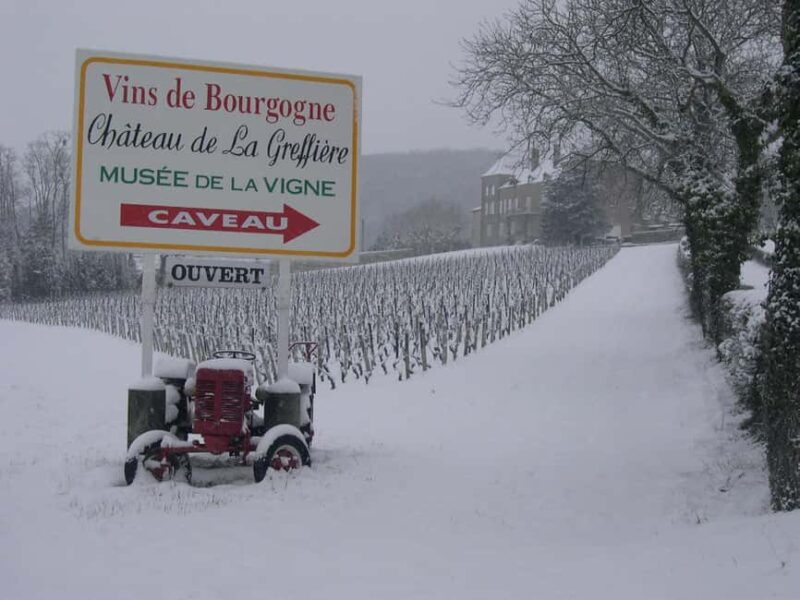 La Roche Vineuse: Visit the Vine and Wine Museum - The Guided Tour: Meet the Expert Guides