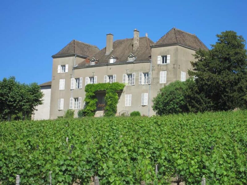La Roche Vineuse: Visit the Vine and Wine Museum - Why This Tour Is a Great Choice for Enthusiasts