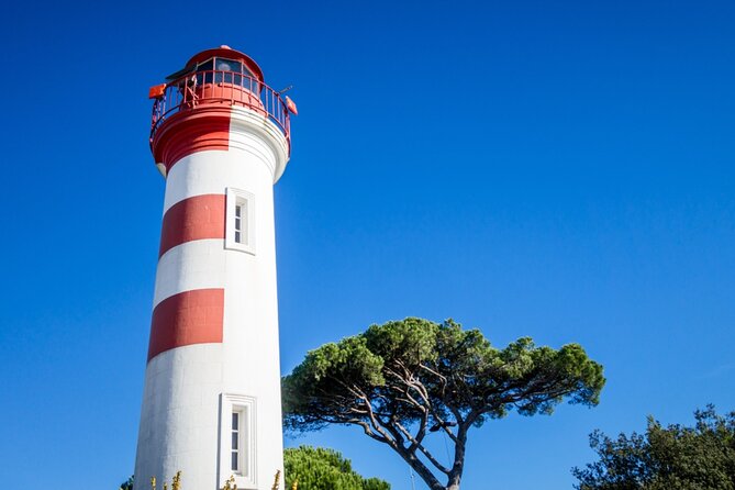 La Rochelle Port Quest: Self-Guided Walking Adventure - Exploring the German Navy Bunker and WWII History
