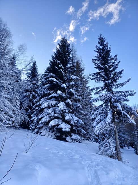 La Rosière: Sunrise snowshoe hike - Reaching the Summit for the Panoramic Breakfast