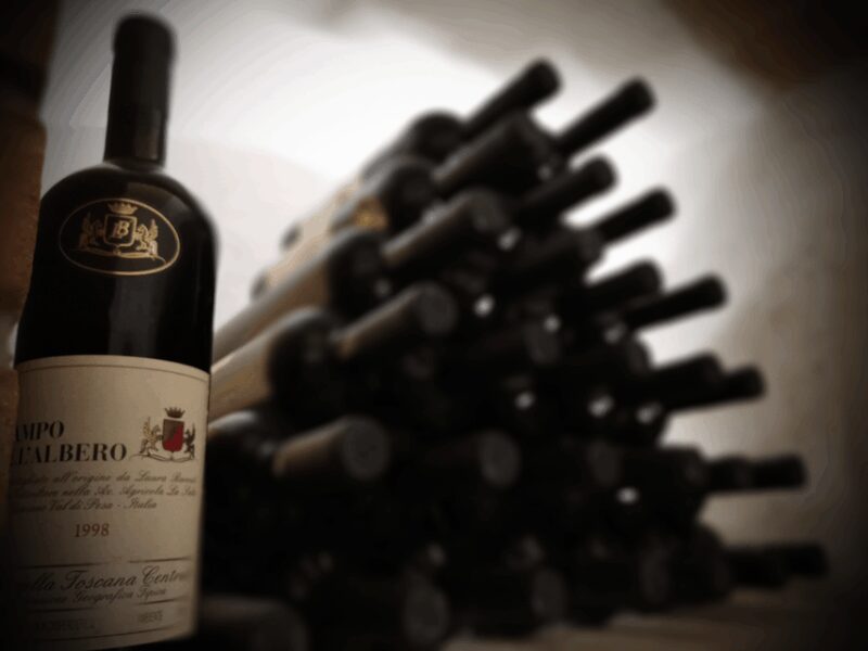 La Sala del Torriano Wine Experience - Walking Through the Vineyards of Chianti Classico