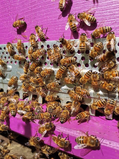 La Sala del Torriano Wine Experience - The Guides Approach and Visitor Experience