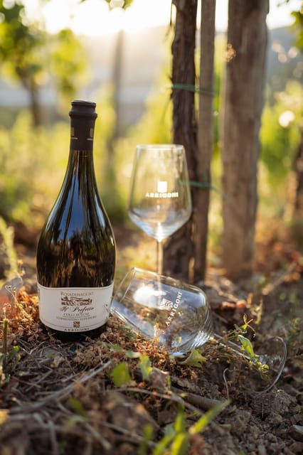 La Spezia: 4 Wines Degustation - Overview of the La Spezia Wine Cellar and Family Philosophy